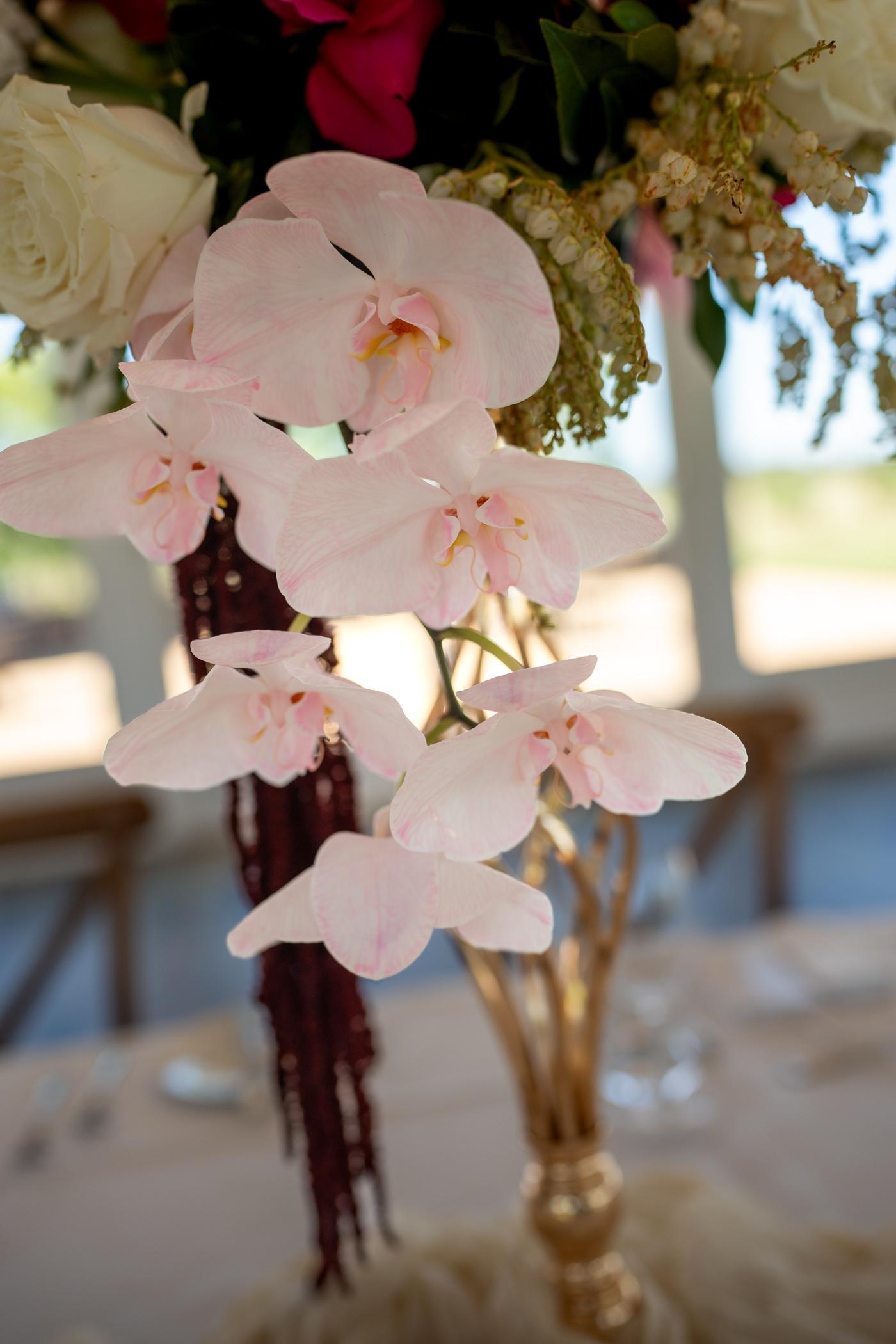 The Timeless by Nate Experience