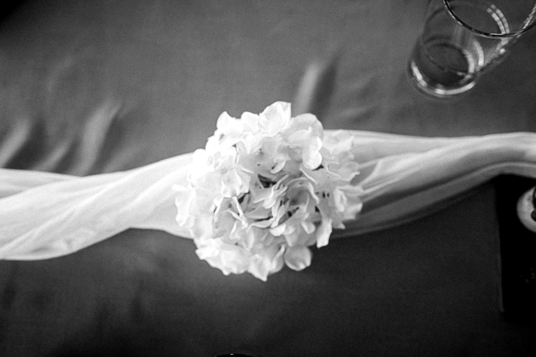 The Surprise Wedding Reception at Peregrin Mereweather